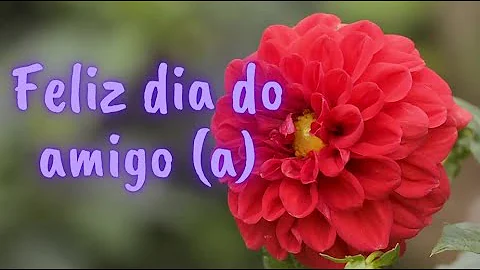 O que dizer no dia do amigo?