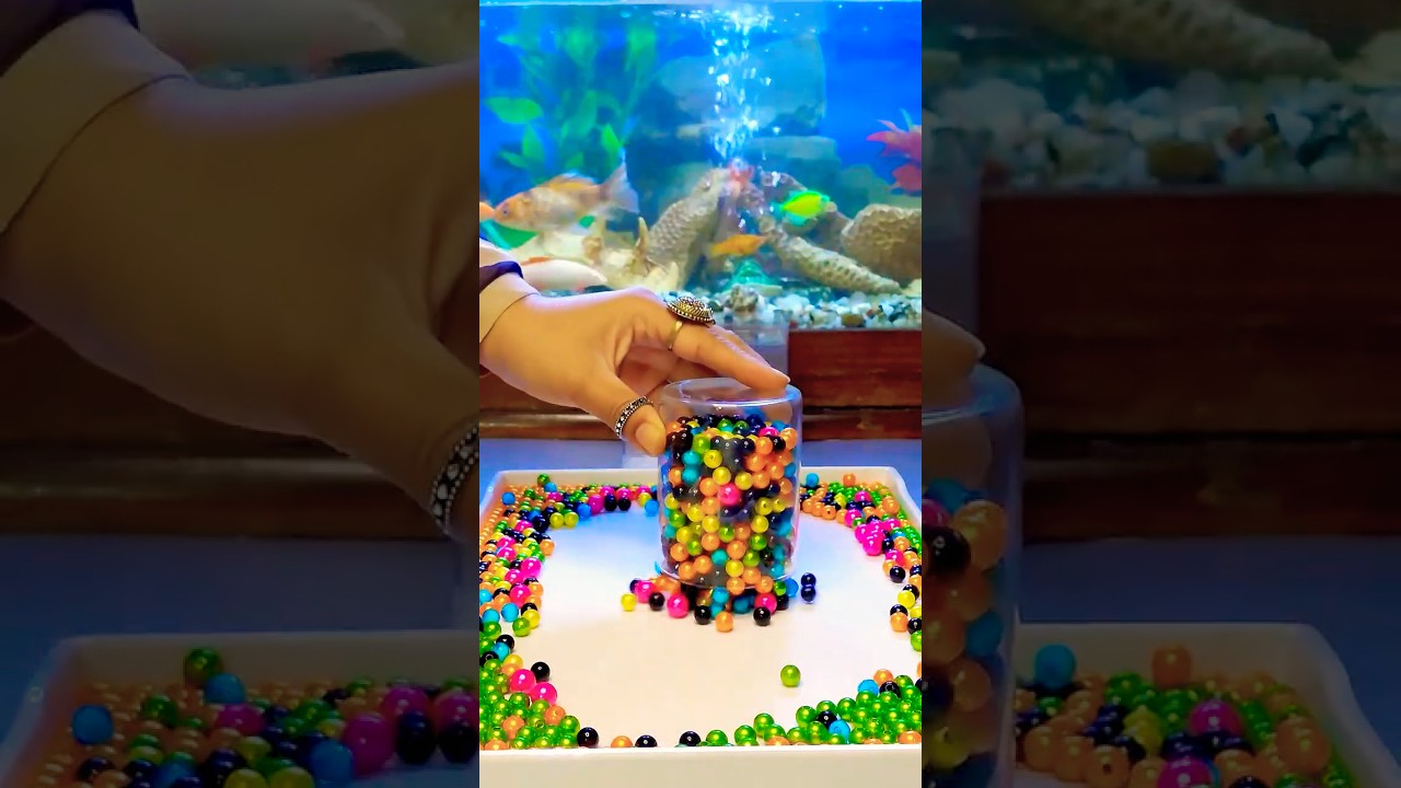Fish 🌈 Marbles & Beads Reverse Video. 