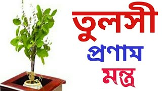 তুলসী প্রণাম মন্ত্র | Tulsi pranam mantra|tulsi pranam mantra in bengali | #Tulsimantra screenshot 5