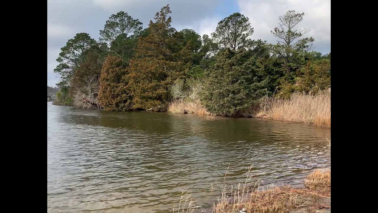 Ground Hog Day (Night)