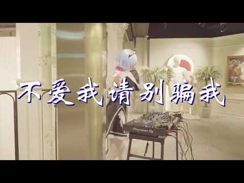刘轩瑞 不爱我请别骗我DJ何鹏版打碟