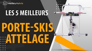 Porte ski sur attelage - Forum et Blog Tesla