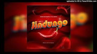 Edson Influêncer & Yala Beats - Jindungo (Instrumental Afro House)