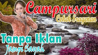 TERBARU FULL 1 JAM SUARA MERDU PALING DICARI TANPA IKLAN JANGAN SAMPAI KETINGGALAN ALBUM