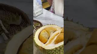 DURIAN FAILED TO REPLACE NEW #durian #blackduridurian #masduren