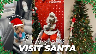 Christmas Day Vlog: Taking my puppy to see Santa Clause!