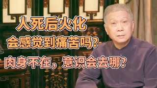 人死後火化，會感到痛苦嗎？肉身不在了，靈魂會去哪里？ #圓桌派#窦文涛#观复嘟嘟#马未都