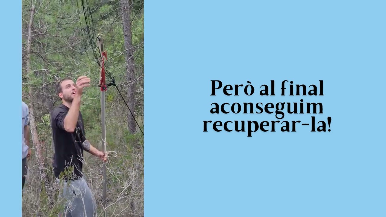 Projecte El HAB del Baix 23 24