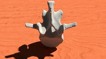 3D Printed Lumbar vertebra created from a CT scan