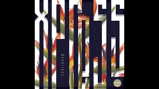 Secret Souls - Xpress (Addex Remix)