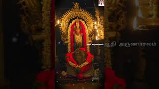 ஓடி ஓடி உழைப்பதற்கு மட்டும் இந்த வாழ்க்கை அல்ல|Chairman Arunachala Swamy-1755