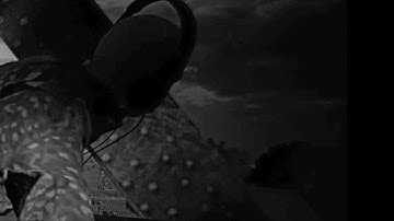 My Post Scriptum Experience