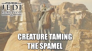 Star Wars Jedi: Survivor | Creature Riding Spamel | Gameplay Xbox Series X