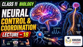  Neural control & coordination| Lecture - 18 | class -11th biology 