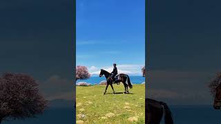 Atlı Jandarma Timlerimiz, Çarpanak Adası’nda devriye faaliyetlerine devam ediyor. 🐎📍Van
