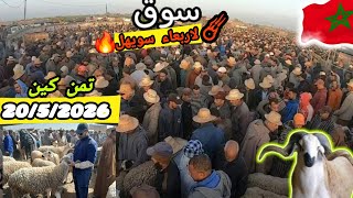 سوق لاربعاء سويهلة إقليم مراكش أجيو تشوف تمن حولي عيد الأضحى خروف و خروفة و لمعاز و صردي و البركي 🐑🔥