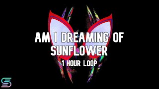 Am I Dreaming of Sunflowers [1 Hour Loop] (Spider-Verse Soundtrack Mashup)