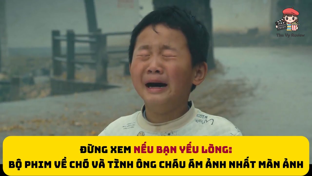 [Review Phim] Đừng Xem Nếu Bạn Yếu Lòng: Bộ Phim Về Tình Ông Cháu Và Chú Chó Ám Ảnh Nhất Màn Ảnh