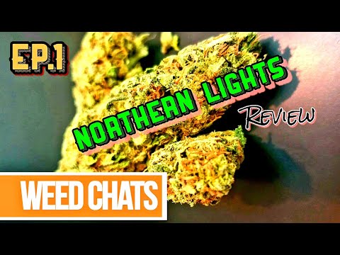 buy northern lights strain online