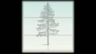 The Sun Climbs the Trees Teaser