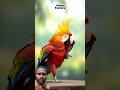 Desi Tota 🦜 | Sweet & Innocent Moments|| Hindi Reaction Shotss