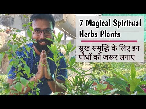 Video: Top 7 Magical Plants For Home