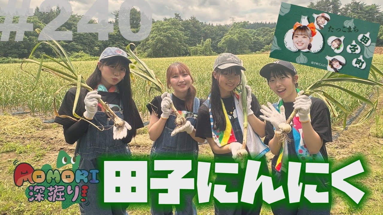 #240 「産地直送日本最高‼︎」AOMORI深掘り！田子にんにく