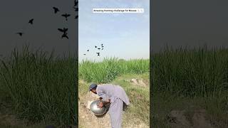 Amazing Hunting challenge for Mouse 🐁🐁#farmerstruggle #farming #modernfarmer #villagerlifestyle