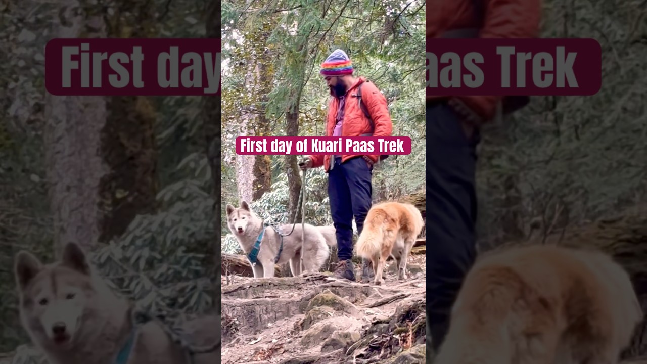 Video thumbnail: #kuaripass #trekking #banjaaraacouple #happyfeet #travelindia #uttarakhand #trekindia #pahaad #pyar