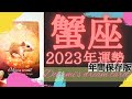 《蟹座2023年年間の運勢》大幸運な１年だからこそ🌹✨️小さなことに気を配って👑✨️情熱を最優先に進むことで結果が出る🔥👼🐲☆年間保存版☆