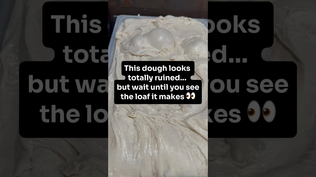 Самое сложное в закваске? Брожение! Вот как выглядит моё тесто, когда оно готово.👀