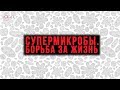 Михаил Гельфанд| СУПЕРМИКРОБЫ. Борьба за жизнь