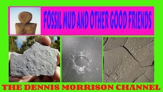 FOSSIL MUD AND OTHER GOOD FRIENDS: TRACE FOSSILS IN MUD ROCK
