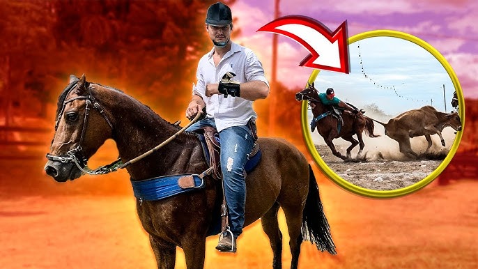 CAVALO PULANDO com TRAIA de ARGOLA 