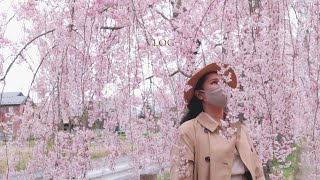 Exploring Northern Japan Part 1 (The Natural Beauty of Fukushima) l Japan's Hidden Gem