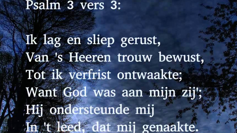 Psalm 3 Vers 1 En 3 - Hoe Vreeslijk Groeit, O God