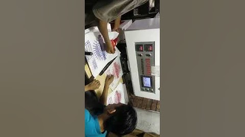 Plastic bag loop punching machine manual Opertr #flexoprintingmachine #packing #pakistanplastic