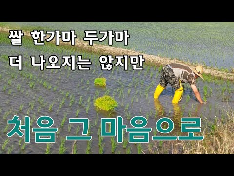 모내기가 끝나도 태웅이는 논에 있습니다~