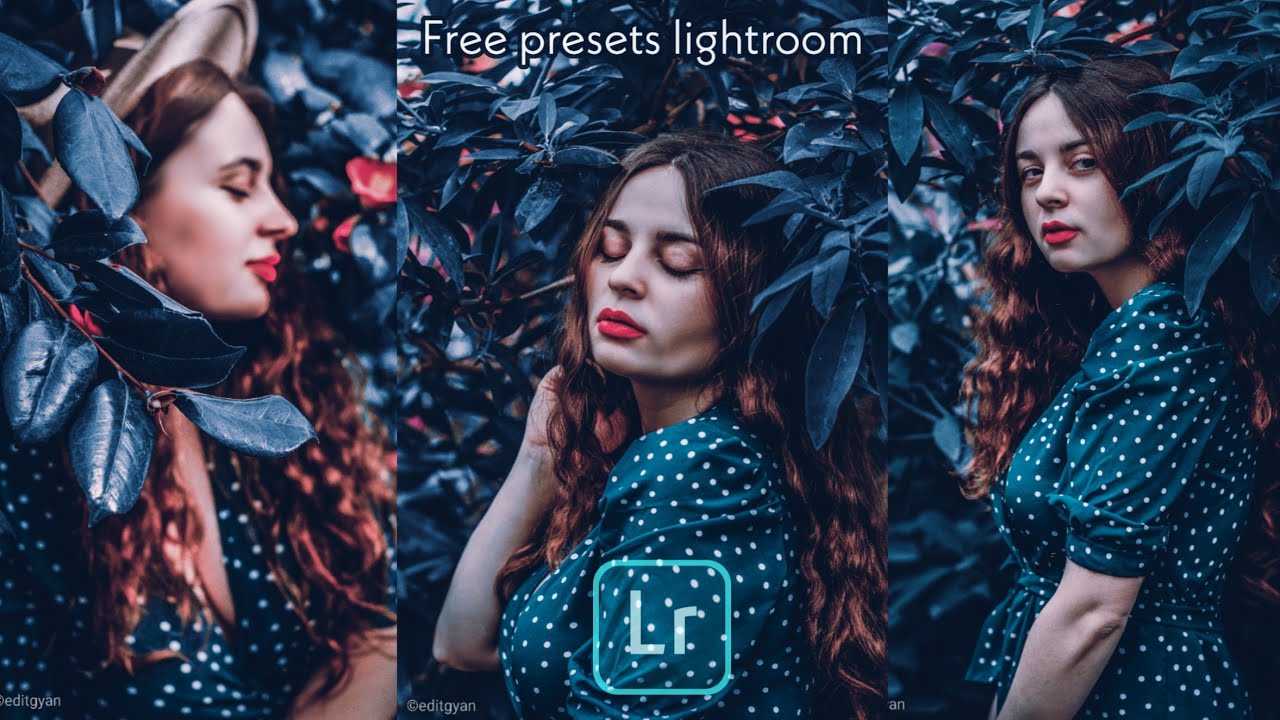 Moody Blue Photo Editing Tutorial || Free Presets Lightroom Mobile || Lightroom Moody Blue Editing