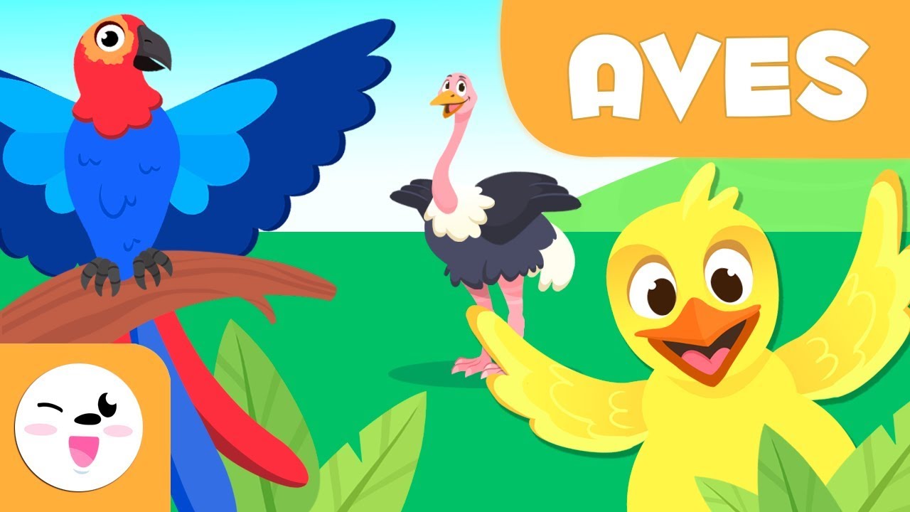 Las Aves para niños - Animales vertebrados - Ciencias naturales para niños  - thptnganamst.edu.vn