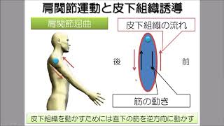 ★運動連鎖を活かす！（財前知典・園部俊晴コラボ講演）