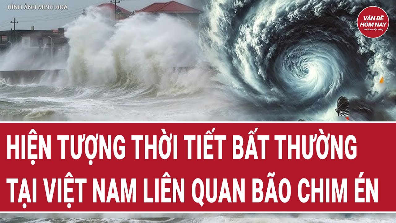 Cảnh báo hiện tượng thời tiết bất thường tại Việt Nam liên quan bão Chim Én