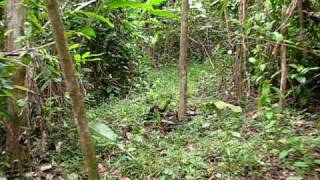 MVI_2346.AVI