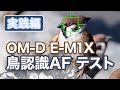OM-D E-M1X 鳥認識AF テスト 実践編