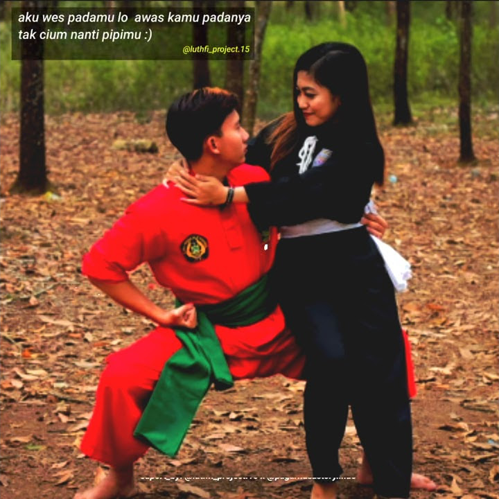 story wa 30 detik romantis // ( terpesona ) versi #pendekar_pagarnusa_gasmi dan #srikandi_PSHT
