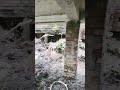 Jiskeaanesemukammalhogayithizindagisong Love Bollywood Tereliyehumhaijiye Song Jiskeaanesemukammalhogayithizindagisong Love Bollywood Tereliyehumhaijiye Song