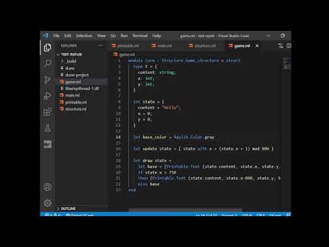 Raylib Experiment 1
