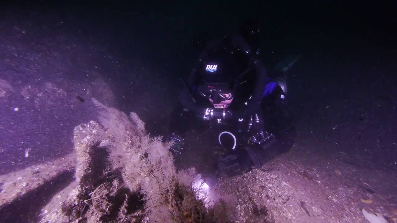 Seafood Safari TV @ The Coimbra shipwreck