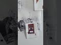 We Are Countless By Reyhan Yazdani And Nasim Pirhadi At The Kelowna Art Gallery 
