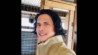 Rat Graves/ abair kelso/ Leiper hatch